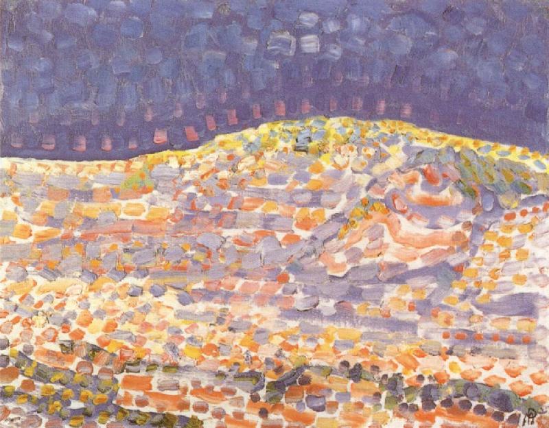 Piet Mondrian Dune oil painting picture